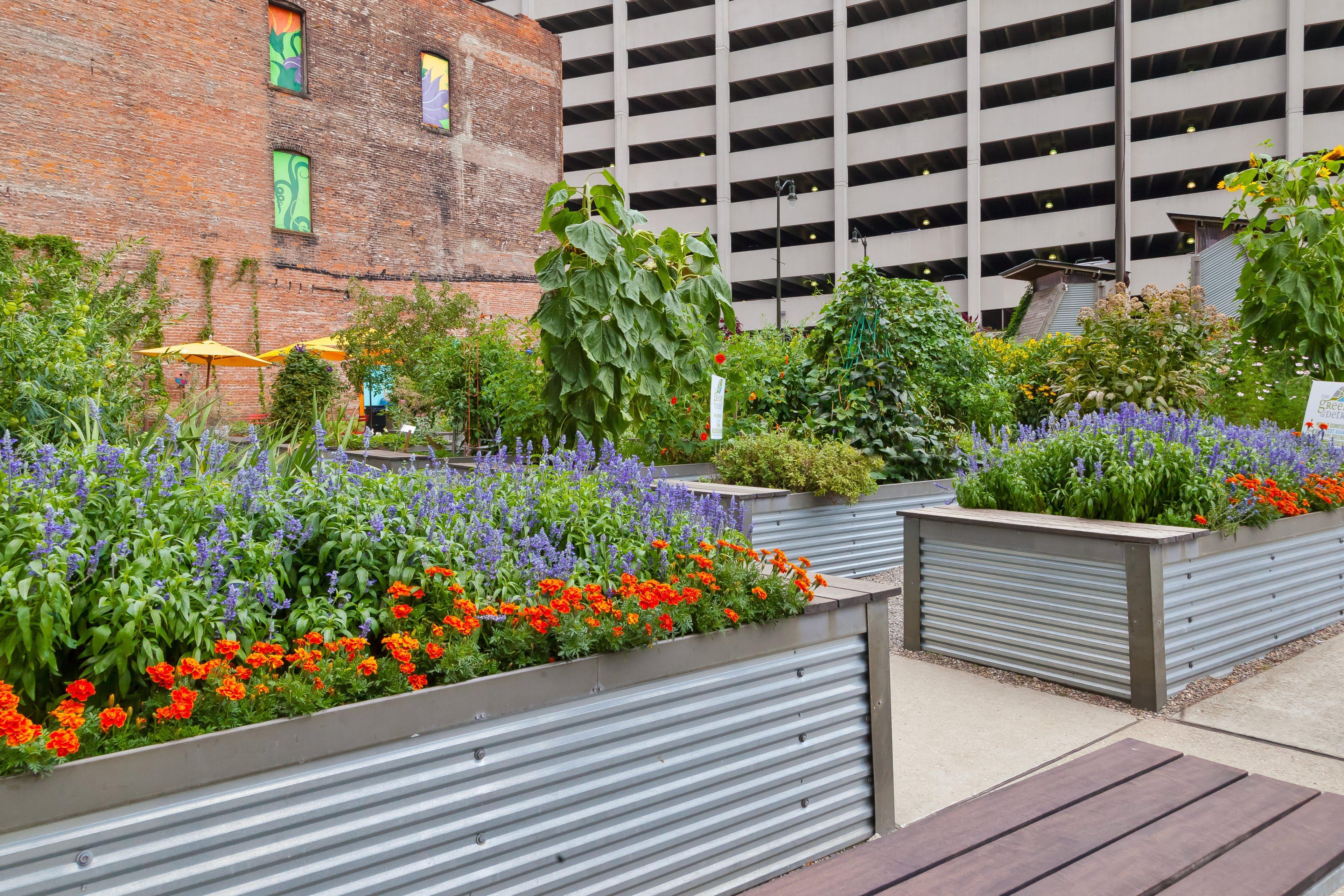 Hotel Indigo Detroit Downtown By Ihg Exteriér fotografie